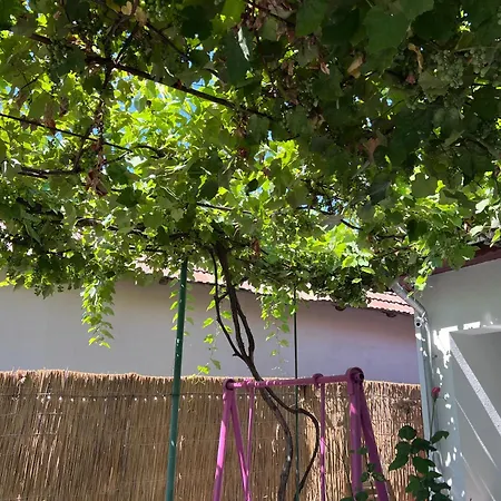 Casa Paraiso * Constanta