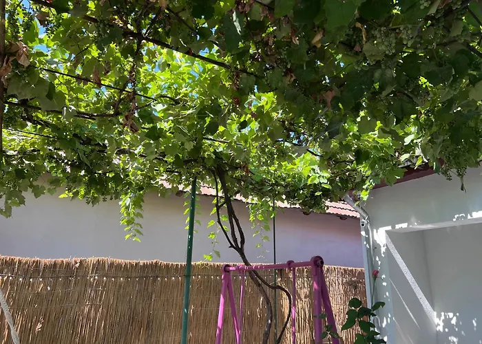 Casa Paraiso * コンスタンツァ